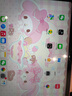Apple/蘋果【國家補貼】iPad 11英寸 A16芯片2025年款 平板電腦 (128GB WLAN版/學(xué)習(xí)辦公娛樂)粉色 曬單實拍圖