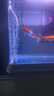 SQG魚(yú)缸氧氣泵超靜音增氧泵小型充氧泵靜音3W單孔泵 曬單實(shí)拍圖