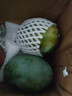京鮮生 攀枝花凱特芒果 凈重7.5斤 單果400g+ 生鮮水果 源頭直發(fā) 曬單實拍圖