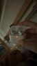 Apple蘋果 AirPods 4代主動降噪airpods4蘋果無線藍(lán)牙耳機(jī) 海外版 airpods4代 降噪款 標(biāo)配版 曬單實(shí)拍圖