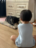 鮮朗低溫烘焙狗糧泰迪博美小型犬中大型幼犬鮮郎全價(jià)無(wú)谷成犬通用犬糧 烘焙犬糧2kg【單包裝】 曬單實(shí)拍圖