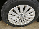 賽輪液體黃金新能源汽車(chē)輪胎205/55R16 94V E01+ 適配速騰/思域 曬單實(shí)拍圖
