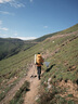 多特（Deuter）登山包 藍精靈男款3-5日輕量重裝戶(hù)外包 徒步探險旅行雙肩背包 琥珀色-50+10L 多日出行 曬單實(shí)拍圖