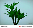 小米Xiaomi 14Ultra 徠卡光學(xué)Summilux鏡頭 大師人像 雙向衛(wèi)星通信 第三代驍龍8 16+1T 白色 5g手機 曬單實拍圖