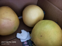 京鮮生 紅心蜜柚4-5粒裝 8.5斤 中秋水果 源頭直發(fā)包郵 曬單實(shí)拍圖