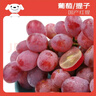 京鮮生 國產(chǎn)紅提 葡萄 2斤裝 生鮮水果 酸甜口感 曬單實拍圖