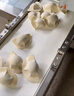 精達創(chuàng  )餃子機全自動(dòng)商用小型自動(dòng)包餃子機智能仿手工水餃機餛飩機 JD180 曬單實(shí)拍圖