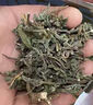 飲農氏墨旱蓮中藥材旱蓮草墨旱蓮草泡水旱蓮草生墨旱蓮別名鱧腸搭女貞子 【中罐】墨旱蓮100克 曬單實(shí)拍圖