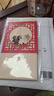 【禮券】陽澄聯(lián)合大閘蟹禮券8888型公5.0兩母4.0兩4對(duì)8只螃蟹券禮盒禮品卡海鮮水產(chǎn) 曬單實(shí)拍圖