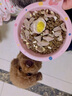 耐吉斯凍干生骨肉狗糧酶解鮮肉成犬幼犬無(wú)谷低敏鴨肉梨狗糧1.5kg 曬單實(shí)拍圖
