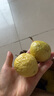 趣嘗鮮欽蜜9號黃金百香果 16粒 單果60-70g 嘗鮮裝 源頭直發(fā) 曬單實(shí)拍圖