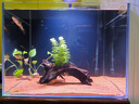 YEE魚(yú)缸燈水草燈原生溪流爆藻燈led筒燈 95RA高顯指 55W魚(yú)缸燈【95RA高顯指   配支架】 曬單實(shí)拍圖