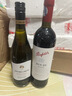 奔富（Penfolds）BIN28西拉/設(shè)拉子干紅葡萄酒750ml*1支澳洲原瓶進(jìn)口木塞【澳版】 曬單實(shí)拍圖
