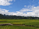 騎兵連（cavalry）自行車坐墊套加寬加大加厚硅膠海綿超軟山地車動(dòng)感單車座套 黑色 曬單實(shí)拍圖