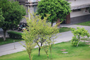 適馬（SIGMA）16-300mm f3.5-6.7 DC OS ｜Contemporary 半畫(huà)幅 遠(yuǎn)攝變焦鏡頭 旅游風(fēng)光人像（RF卡口） 曬單實(shí)拍圖