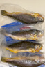 1號會(huì )員店寧德三去黃花魚(yú) 凈重2斤/4條  大黃魚(yú) 深海魚(yú) 冷凍海鮮水產(chǎn) 生鮮 曬單實(shí)拍圖