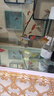 魚(yú)官兒 群游魚(yú)紅綠燈白云金絲熱帶小型魚(yú)活體寵物魚(yú)國王燈帝王燈三角燈 1.5-2cm櫻桃燈5條 曬單實(shí)拍圖