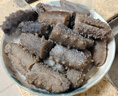 即食海參 大連鮮食海參單個(gè)裝500g海鮮水產(chǎn) 鮮食海參5-8只/斤（參王） 曬單實(shí)拍圖