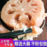 2025年新鮮湖北洪湖粉藕蓮藕國家地理標(biāo)志蔬菜 搶先上市 洪湖粉藕 2斤裝中段 曬單實拍圖