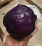 【特惠蔬菜】新鮮紫甘藍卷心菜紫色包菜紅椰菜紫球生菜即食沙拉菜 試吃【1斤】新鮮農(nóng)家菜 新鮮發(fā)出 人工精選 曬單實拍圖