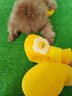 狗狗雨鞋小型犬寵物狗鞋子泰迪比熊博美夏季防掉防臟不濕腳硅膠鞋 狗狗雨鞋【洛克黃雞蛋仔】 L（建議體重8-15斤） 曬單實(shí)拍圖