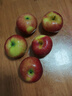 農(nóng)味族新鮮昭通紅露蘋果官方旗艦店純甜高山糖心丑蘋果基地直發(fā)應(yīng)季水果 新鮮紅露5斤特小果（60-69mm）散裝 曬單實(shí)拍圖