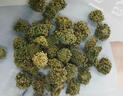亞多琳三七花云南500g野生文山特級正品田七花茶泡水喝純天然足干新37花 瓶裝[買(mǎi)一送一共500克] 曬單實(shí)拍圖