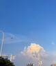 大衛(wèi)驗(yàn)孕棒 早孕試紙20條送尿杯 早早孕驗(yàn)孕試紙?jiān)嚄l（HCG）檢測試紙 曬單實(shí)拍圖