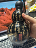 享葫黑神話(huà)葫蘆運動(dòng)水杯葫蘆運動(dòng)水壺悟空大容量復古道系禮物周邊 黑武士+將進(jìn)酒貼紙900ml 曬單實(shí)拍圖