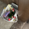 烏蘇啤酒（wusu）京東自營大紅烏蘇烈性啤酒620ml*12瓶整箱裝 曬單實拍圖