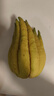 佛手柑云南新鮮佛手果柑應(yīng)季單個大佛手柑鮮果食用清供把玩聞香 單果250-350g 1個 發(fā)貨均為綠色，長時(shí)間擺放會變黃 曬單實(shí)拍圖