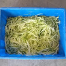 煜燦 切菜機商用切片機切丁機切絲機切段機多功能切菜機土豆絲刨片機食堂幼兒園學(xué)校餐廳用電動切菜機 801型（切絲）切瓜果蔬菜 曬單實拍圖
