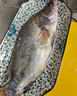 膳訊灣 臭鱖魚凈膛1.1-1.2斤*3條 安徽黃山桂魚生鮮腌制送料包 源頭直發(fā) 曬單實拍圖