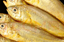 冰鮮部族小黃魚 新鮮冷凍海鮮深海黃花魚 活魚速凍燒烤食材 【新鮮海捕】深海小黃魚4斤 曬單實(shí)拍圖