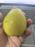 京鮮生 新疆特級(jí)庫(kù)爾勒香梨 凈重5斤單果120g以上 生鮮水果 曬單實(shí)拍圖