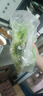 鮮姿東北新鮮白菜葉飯包大白菜葉子打包菜葉新鮮蔬菜 白菜葉20片 曬單實(shí)拍圖