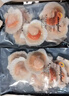 熠興記大扇貝超級大號9-10cm直徑蝦夷扇貝蒜蓉粉絲蒸扇貝鮮活扇貝日月殼 16只超值裝 曬單實(shí)拍圖