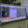 喜高超白玻璃魚缸智能魚缸免換水小型客廳水族箱一體式過濾氧氣魚缸 白-魚缸標(biāo)配 600*268*322mm 曬單實拍圖