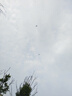 杜邦（DUPONT）一進(jìn)二出水龍頭黃銅4分快開(kāi)單冷洗衣機水龍頭一進(jìn)二出雙出水龍頭 曬單實(shí)拍圖