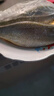 產(chǎn)地直采寧德冰鮮黃花魚400g-500g/條 曬單實(shí)拍圖