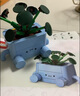 樂(lè )高（LEGO）積木拼裝10349 快樂(lè )盆栽男孩女孩兒童玩具生日禮物 曬單實(shí)拍圖