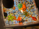 闊庭（KUOTING）魚缸水族箱生態(tài)桌面魚缸新款懶人魚缸生態(tài)造景過濾制氧一體機黑色 曬單實拍圖
