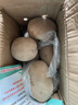 隴百味甘肅定西土豆2025年新挖粉糯面沙高山小洋芋鮮馬鈴薯定西特產(chǎn) 3兩起 5斤中果 曬單實(shí)拍圖