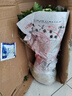 菊花盆栽特大苗帶花苞國華四季菊祭鮮花九月菊繡球大花耐寒綠植物 【大花絲菊】黃絲-帶花苞發(fā) 原盆原土 曬單實(shí)拍圖