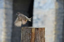 騰龍（Tamron）B061S 18-300mm F3.5-6.3 Di III-A VC VXD 遠(yuǎn)攝大變焦防抖鏡頭 一鏡走天下 索尼E口 暢拍濾鏡禮包 曬單實(shí)拍圖