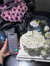 唯一（Winy）藍桉與鳥999純銀項鏈女2025新款生日禮物送女朋友老婆首飾品 曬單實拍圖