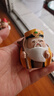 伊文兔（THE RABBIT IVEN）福氣小神仙擺件國潮辦公室擺件喬遷之喜搬家禮物生日禮物伴手禮 福氣小神仙擺件-土地公 曬單實拍圖