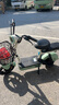 臺鈴電動自行車【國家補貼】Q糖50KM長續(xù)航電動車48V13AH鉛酸小錦鯉小果粒歡樂豆素顏綠 曬單實拍圖