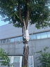 睿因（Wavlink）AERIAL HD4 1200M雙頻戶(hù)外路由器 室外大功率無(wú)線AP 工程全向wifi覆蓋 農(nóng)村wifi基站 曬單實(shí)拍圖