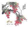 純手繪國(guó)畫小品裝飾畫客廳餐廳玄關(guān)電表箱掛畫寫意花鳥(niǎo)畫定制字畫 荔枝 50*50厘米宣紙畫芯 曬單實(shí)拍圖